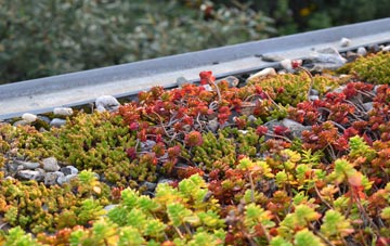 the cost of Spey Bay green roof installation