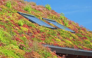 Spey Bay living roof systems