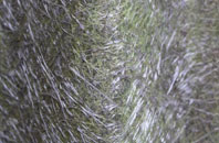 Spey Bay fibreglass roof work